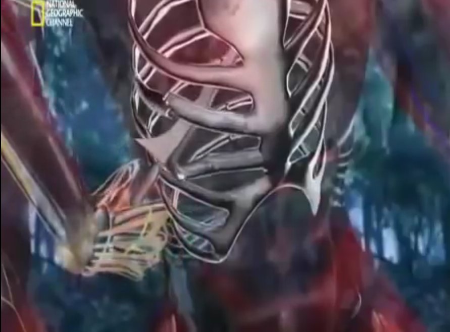 ᜐᜋᜓᜎ on Twitter "A more practical explanation is often given by silat