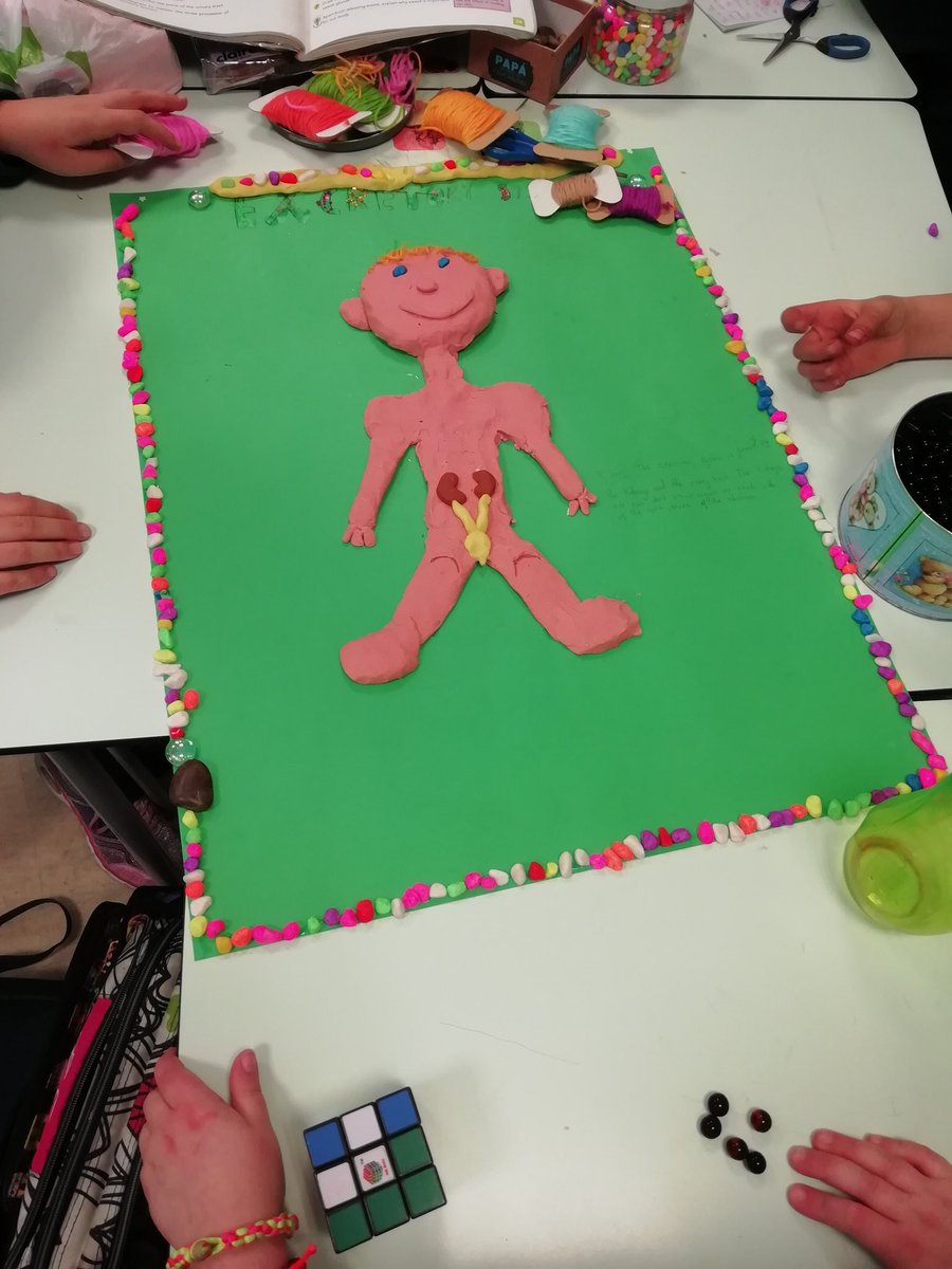 Natural Science project in 4th grade!!! <a href="/HBSTORREJON/">Humanitas Torrejón</a>