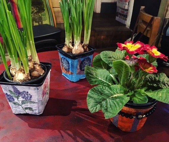 renewsheffield's tweet photo. Love these plant pots that renew11 created. Lots of life &amp; colour in something so simple! On today, 3.30pm-5.30pm at @lotteontheedge. Come and join for a cuppa, something creative or a quiet spot to chill. 
#mentalhealth #mentalhealthmatters #community #sheffield #mindfulness https://t.co/tvu3pYOuUm