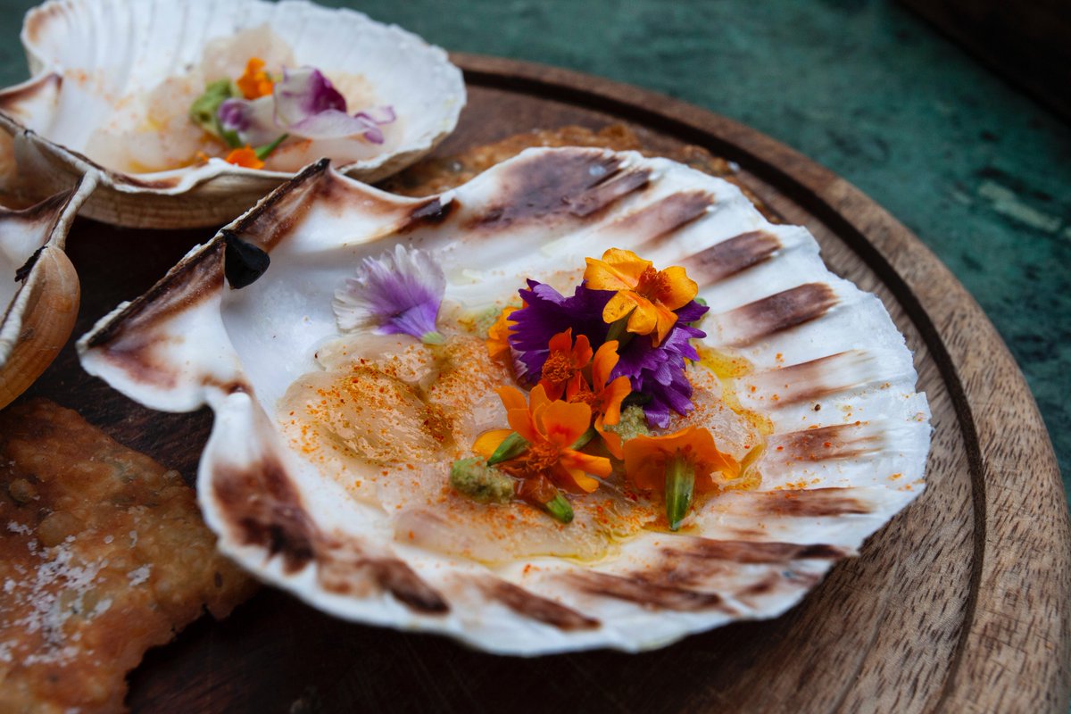 ChangeHsp's tweet photo. Read about our latest entry to Meat vs Fish vs Veg this year (Lewis de Haas) @L_de_H Head Chef of La Goccia @PetershamN who will be on #TEAMFISH We can't wait for you to try his incredible dish!  #LaGoccia #MVF @HospAction https://t.co/6DxXJd1EBF https://t.co/HPn9GbLdt4