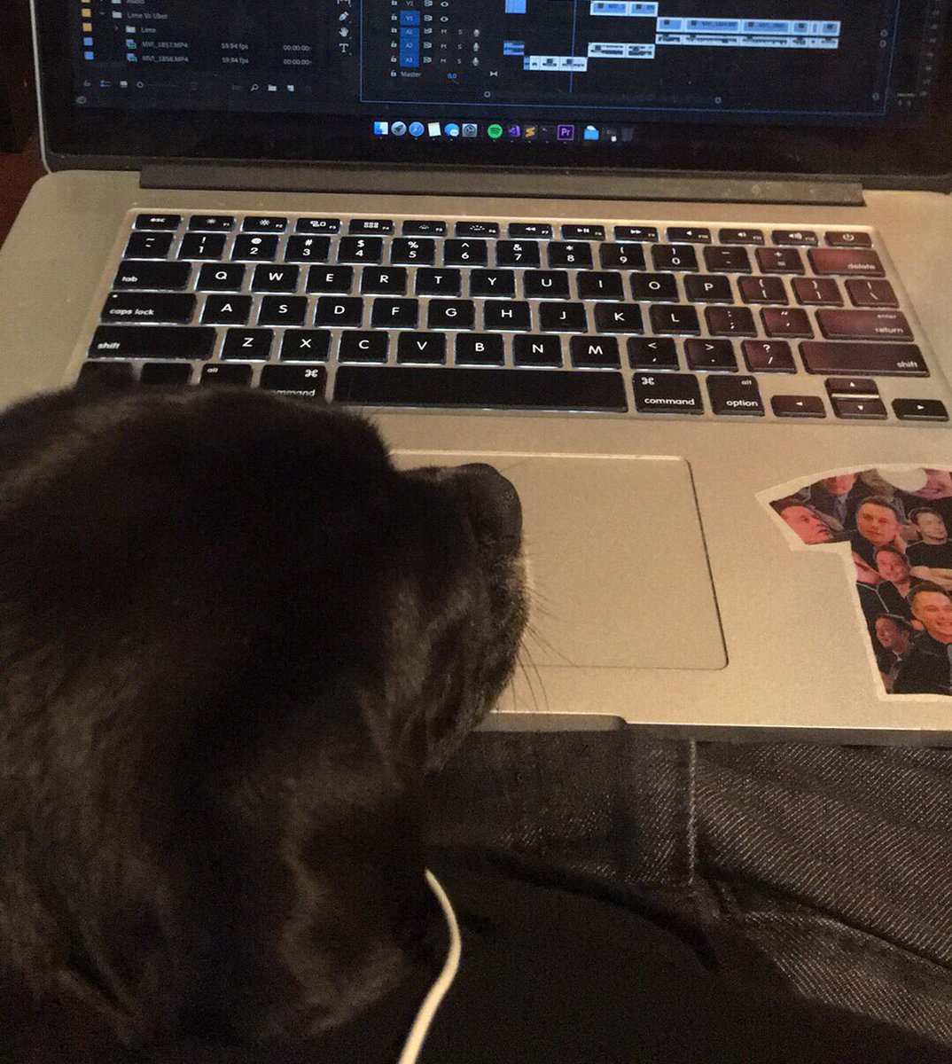 AngryGiantSquid's tweet photo. Trying to edit the next Review Guy Reviews video.... https://t.co/LD5SBCVc0i