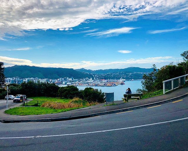 alexandrenormal's tweet photo. Na descida do Mount Victoria a gente encontra alguns cenários como esse... #tripify #newzealand #novazelandia #travelphotography #travelgram #wanderlust https://t.co/4GHgkHivUM https://t.co/nKcQZY9IVX