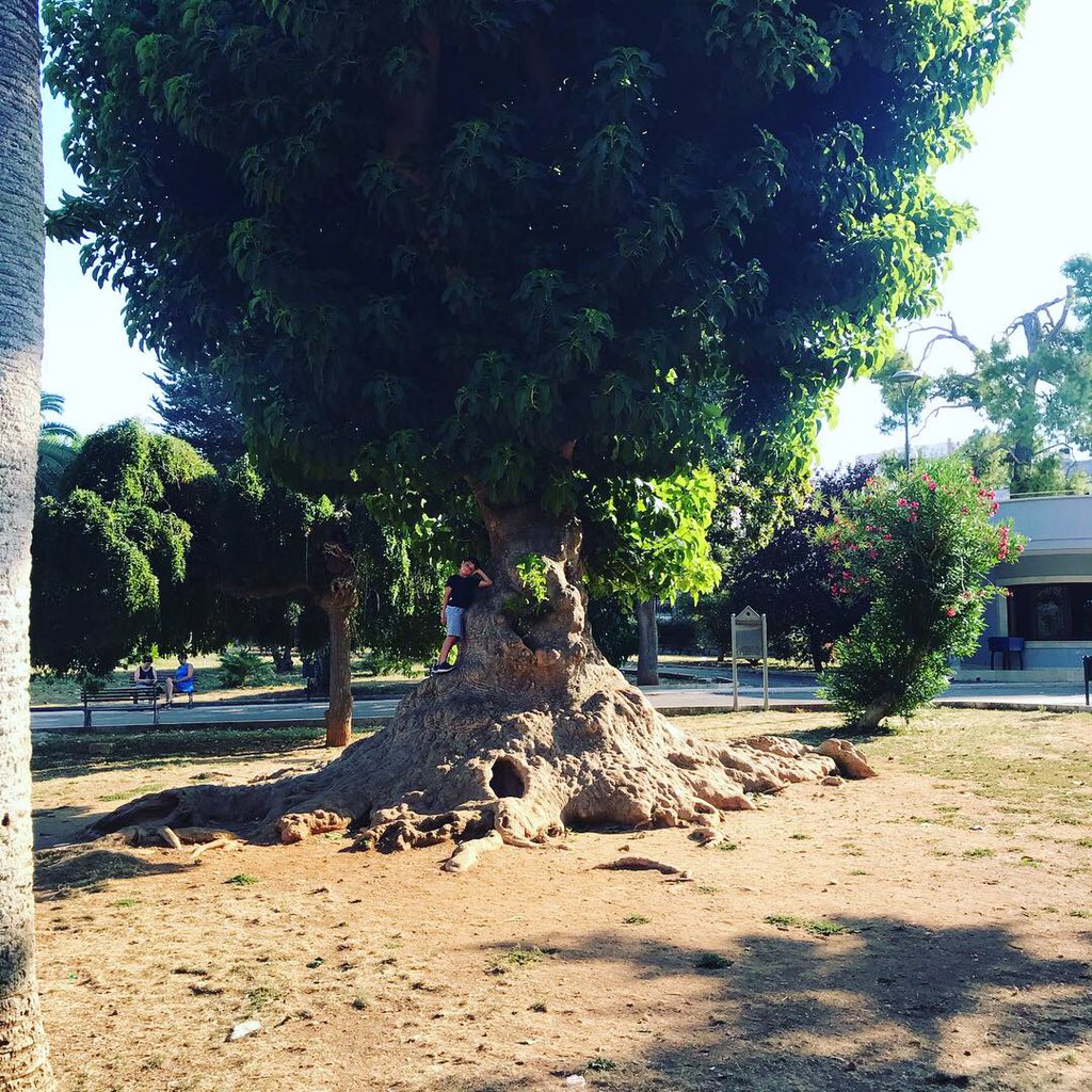 #ostuni #monopoli #locorotondo #lecce #martinafranca #bari #brindisi #alberobello #trulli #instagood #pugliacafe #pasticciotto #weloveitaly 2/2