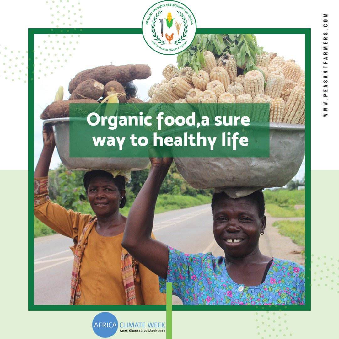 PFAGghana's tweet photo. Organic agriculture provides management practices that can help farmers adapt to climate change through strengthening agro-ecosystems, diversifying crop and livestock production, and building farmers’ knowledge base to best prevent &amp; confront changes in climate.#africaclimateweek https://t.co/PIrBifyKr3