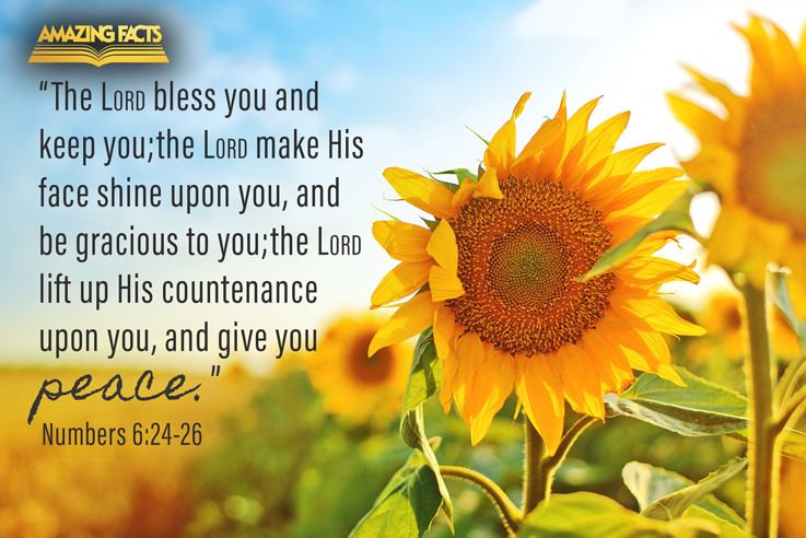 Today S Revival Numbers 6 24 26 The Lord Bless You And Keep You The Lord Make His Face Shine Upon You And Be Gracious To You The Lord Turn His Face Toward