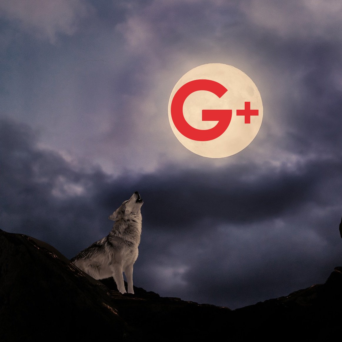 OPEN_AND_BUSY's tweet photo. REMINDER | Google+ is shutting down consumer (personal) accounts on 2 April 2019 https://t.co/GaIvd7PBsf No other Google products (such as Gmail, Google Photos, Google Drive) will be shut down. To save your Google+ data, download it. https://t.co/Xl4xi3B7dY https://t.co/1AKx4NVp3V