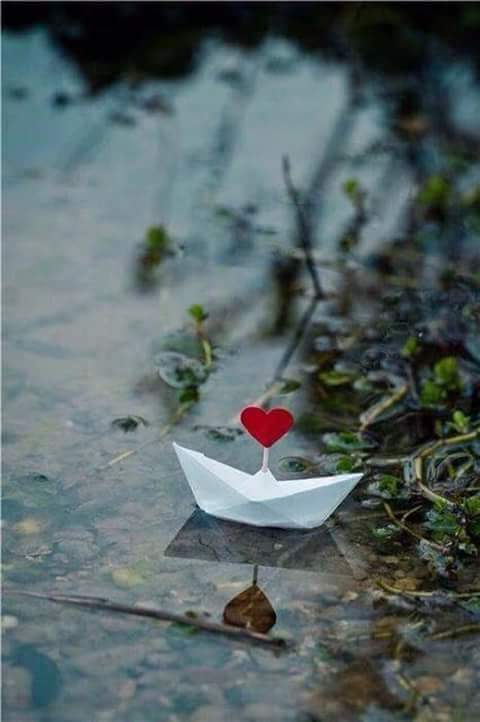 الظروف سفن الرآحلين 

آحدهم ركبهآ رغما عنه 

والآخر ركبهآ بارادته 

تغيرنا كثيرا