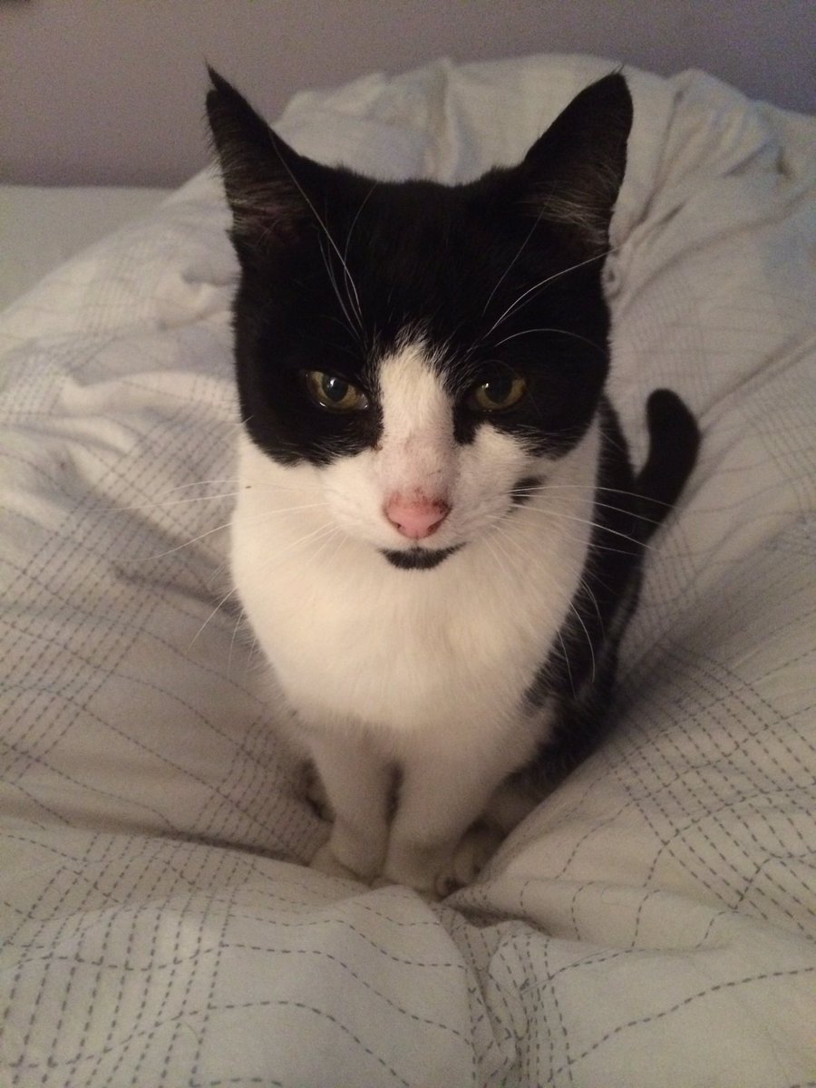 Stephen Moore CDG tweet media