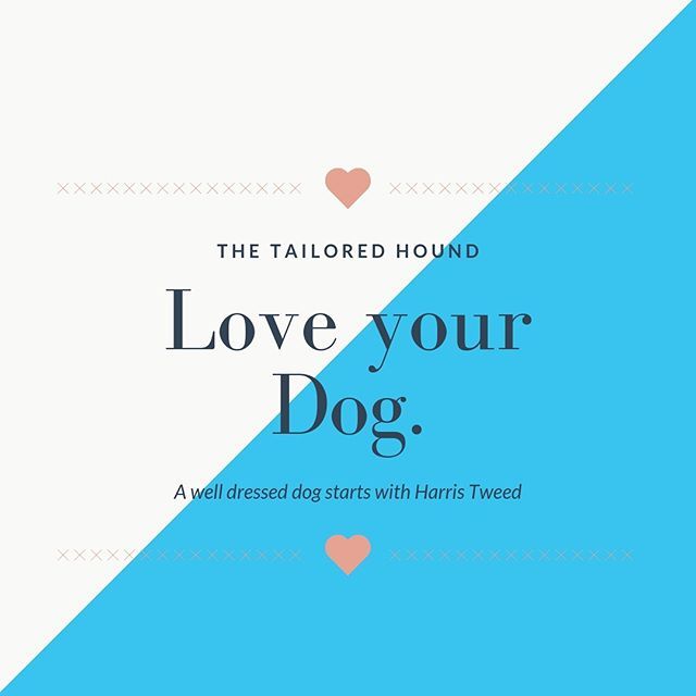 tailored_hound's tweet photo. #loveyourdog Individually handmade accessories for you, your dog and your home. #thetailoredhound Link in profile. https://t.co/wi0WASv9cK #dogaccessories #dogcollars #dogcoats #dogbowtie #weddingdogs #dogleads #harristweed #guitarstraps #uniquedogcollar https://t.co/ZzMFWp5iOO https://t.co/QUrtfMGQVD