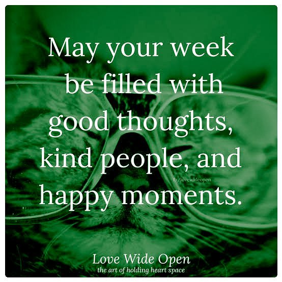 MorneVO's tweet photo. Positivity negates negative influences... #bepositive #positivity #choosewisely #proactive #goodpeople #awesome https://t.co/acnu2P1iNs