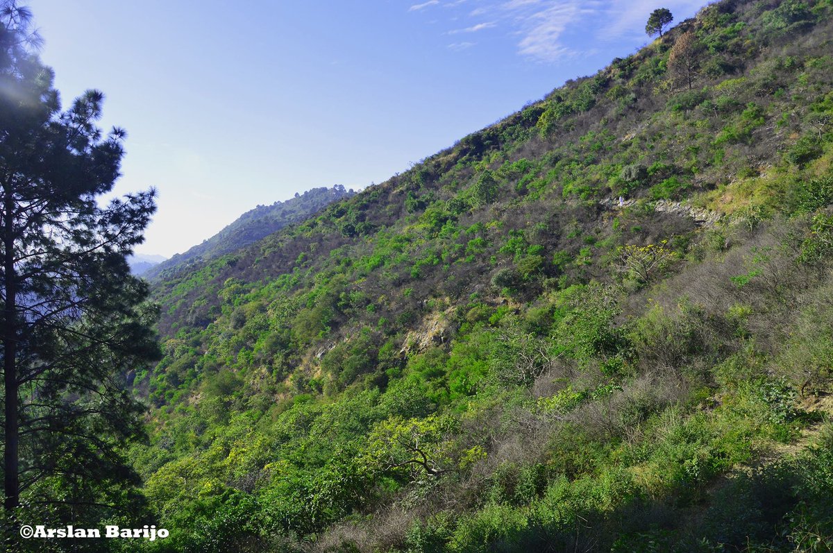 arslanbarijo's tweet photo. #Trail3 #Islamabad   #TravelPakistan #WelovePakistan #Photo #Stories #Wanderlust #Traveller #visualartist #Blogger #photography #discoverpakistan #travelblog #StoriesofPakistan #travellersofPakistan #Pakistanisflying #Explorationdream  #pakistanzindabad #BeautifulPakistan https://t.co/sY5ccfv4Kt