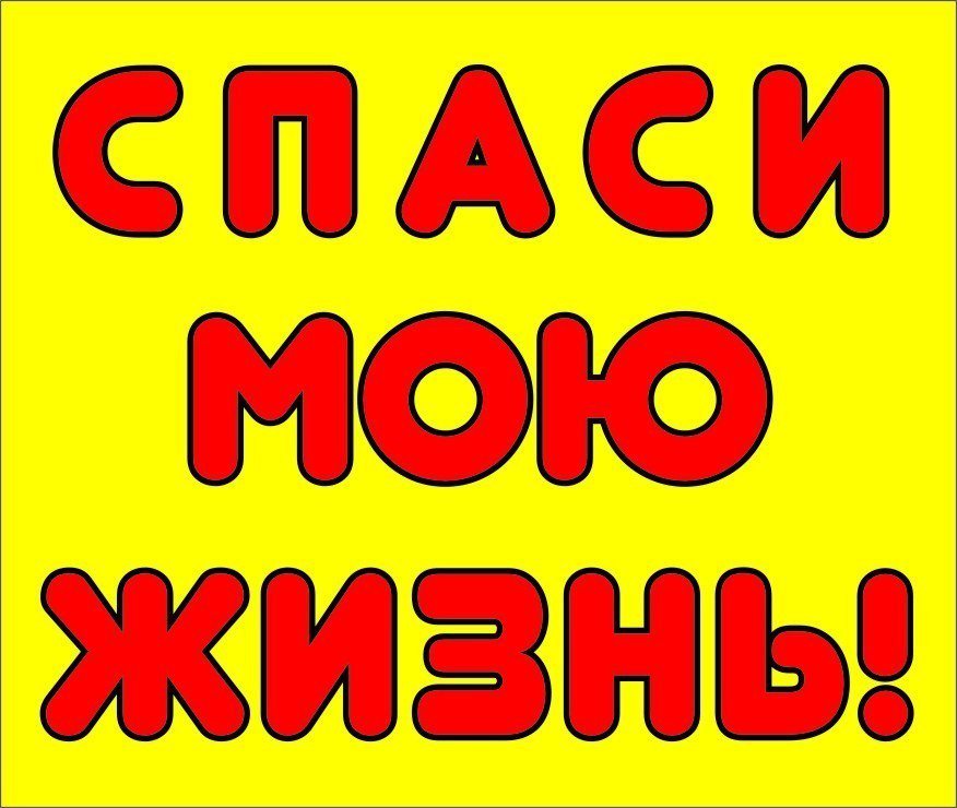 ломтики картинки спаси мою жизнь окончания войны его