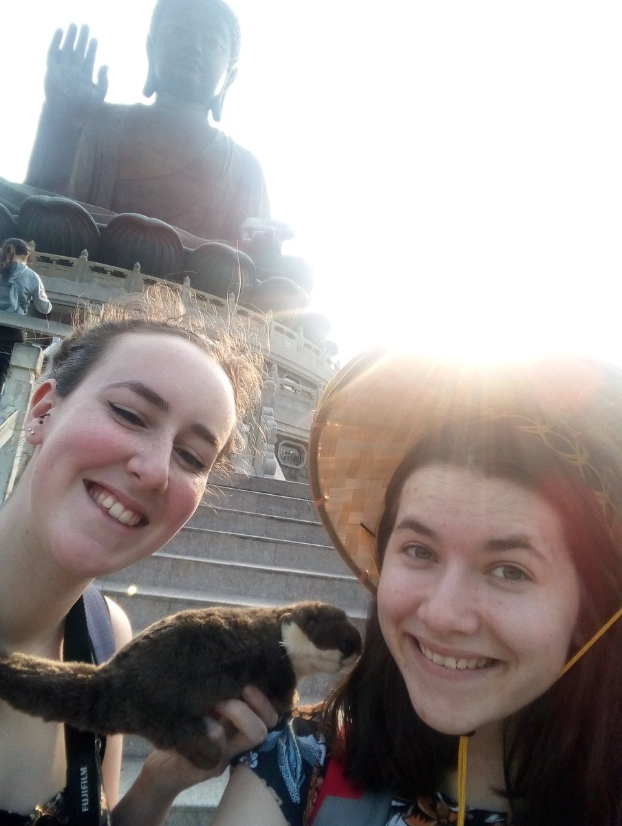 OTLucyP's tweet photo. Learning about the theory behind Chinese medicine this morning, we are currently stood at the top of Tian Tan Buddha, considering all aspects of spirituality and how someone's faith and spirituality may underpin/influence the meaning of occupations @CovUniOT #OccupationalTherapy https://t.co/AlkuZ4zBsi