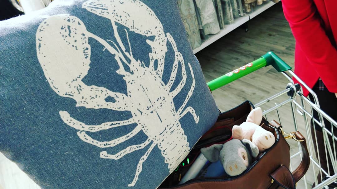 RozzyRozza's tweet image. Stand up straight with your shoulders back #JordanPeterson #12rules #lobster #standupatraight