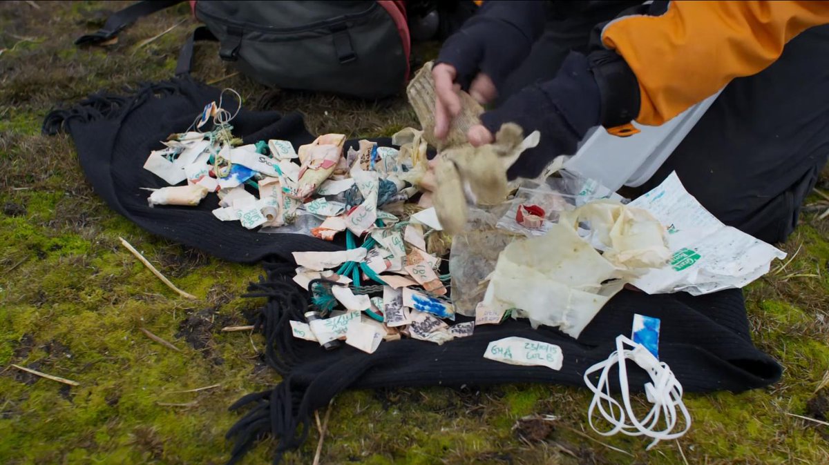 la2_tve's tweet photo. Mira la imagen👇 
Esto no ha terminado en la tripa de los pobres albatros por arte de magia...
En el #PlanetaAzul2 de hoy (22h) no veremos fondos marinos de ensueño; vamos a conocer la otra cara, el daño que les estamos causando a estos ecosistemas y a su fauna.
#MedioAmbiente https://t.co/0muxxCbKe0