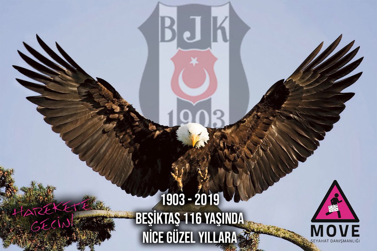 hareketegecin's tweet photo. 1903 -2019 Beşiktaş 116 Yaşında Nice Güzel Yıllara
#moveileuculur #moveevent #moveseyahatdanismanligi #moveseyahat #teknoloji #mice #moveteknoliji #moveorganizasyon #event #beşiktaş #iyikidoğdun #beşiktaşk https://t.co/VvsGLiugdM
