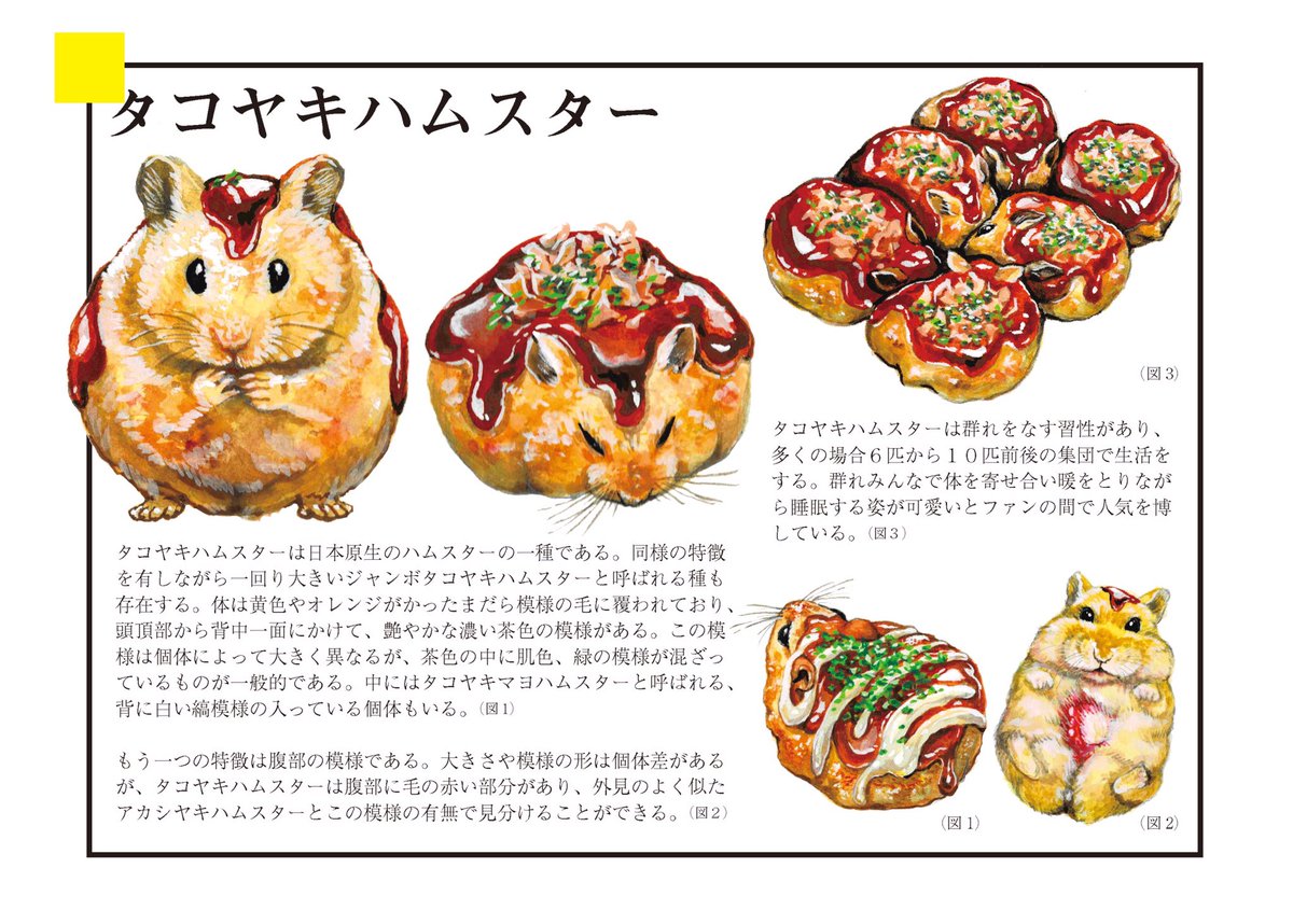 たこやきはむすたです チョーヒカルの漫画 たこやきはむすたです チョーヒカルの漫画