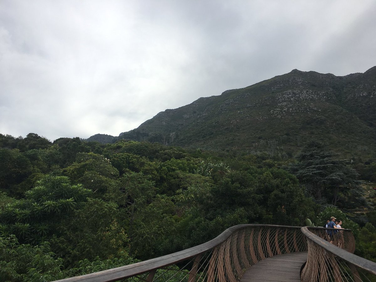 MeaganHamilton1's tweet photo. Enjoying our last day in Cape Town with a bird’s eye view from Table Mountain! What an Incredible way to end an amazing adventure. Next stop Toronto 🛫 https://t.co/56knICJSYP