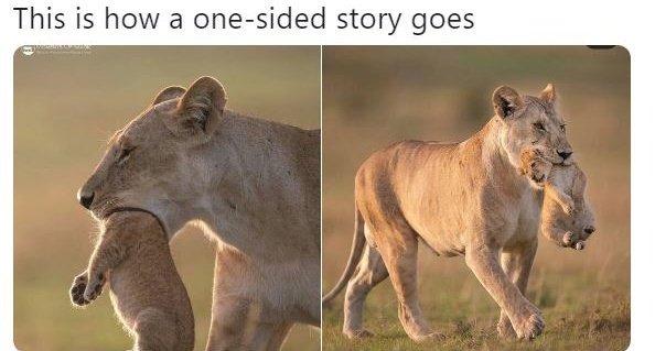 DeejaySylar's tweet image. About the #ArrestPascal story.  .  .