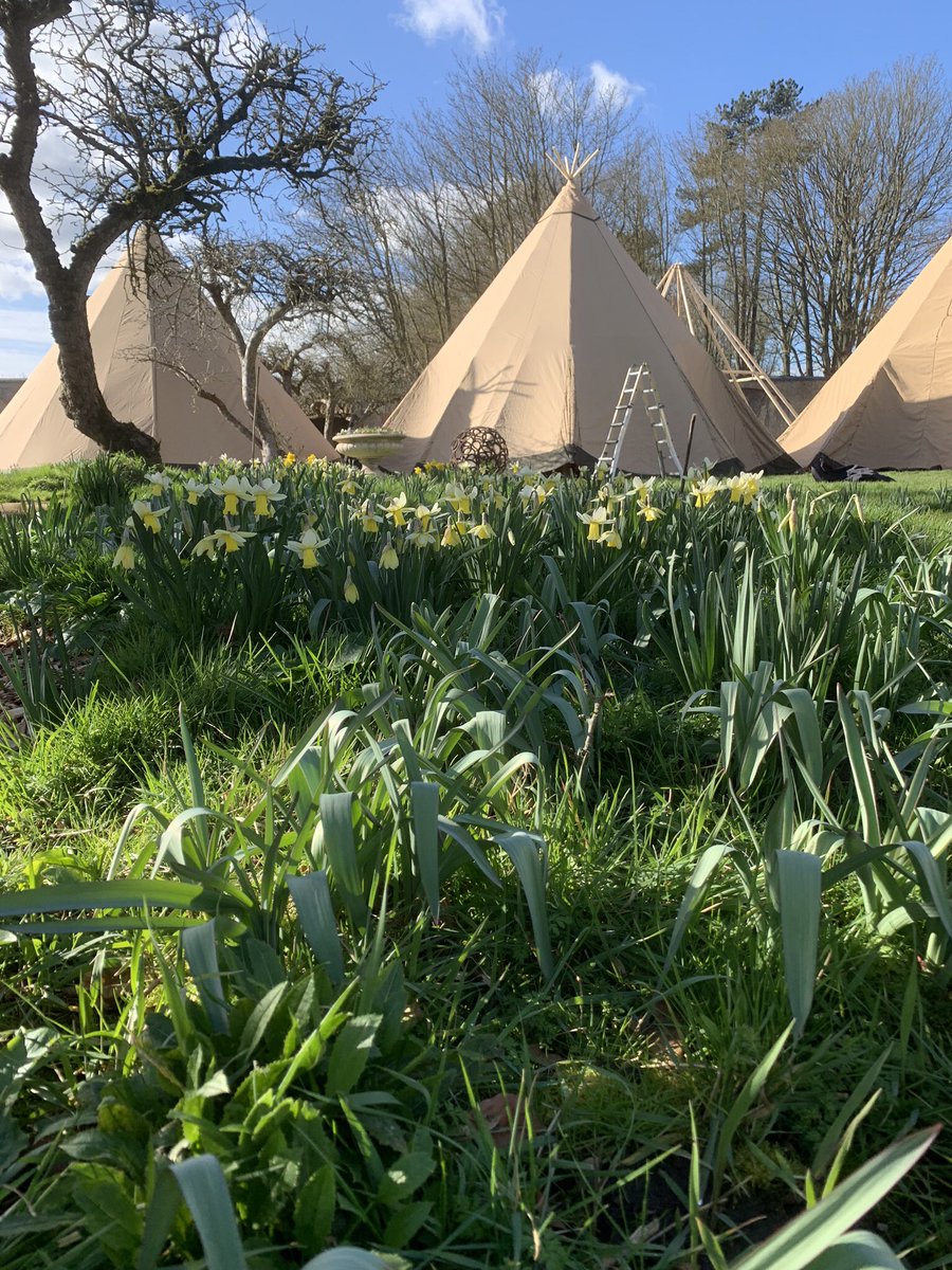 #WeddingSeason is getting under way &amp; we are thrilled with how well things are taking shape at one of our stunning parter venues, <a href="/Scrivelsby_WG/">Scrivelsby Walled Garden</a>.