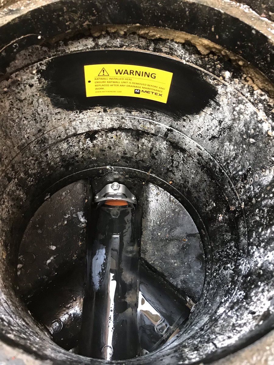 FrankHayes67's tweet photo. Rats have been gaining access to this property through the drains. The property has had an extension, the builders never capped off the old four inch toilet waste pipe. 
Stainless steel one way #ratwall installed. 
The rats can go out of the property but not get back in. https://t.co/4uSeBa4SSQ