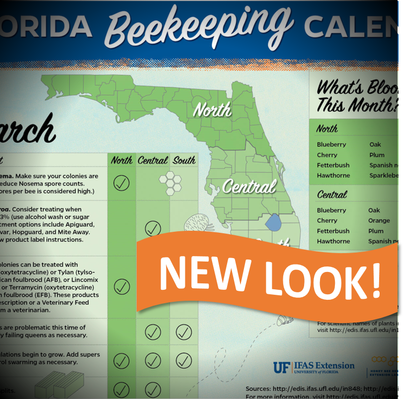 UFhoneybeelab's tweet photo. The #ufhoneybeelab monthly management calendar has a brand new look! Check out recommendations for March in today's #MelittoFiles blog post: https://t.co/GwxJyHuxvv #ufbugs #beekeeping #calendar #honeybees #march https://t.co/q9LZl6GT9g