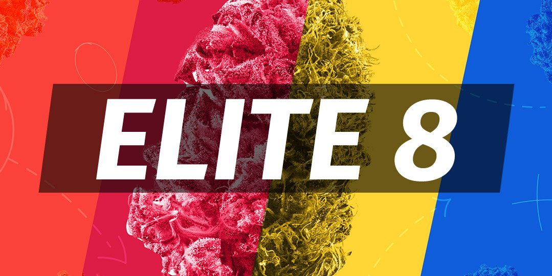 Strain Madness marches ahead with today's Elite 8. Yesterday Sour Diesel and GDP were the clear leaders in their brackets, how will they match up against Do-Si-Dos and White Widow? Vote now at leafly.info/2HrXOiU