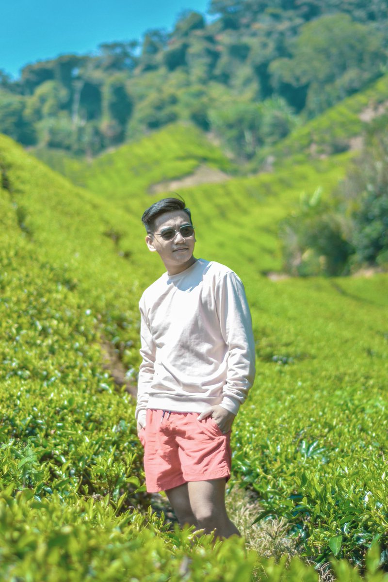 Largest tea plantation in Malaysia. #CameronHighland