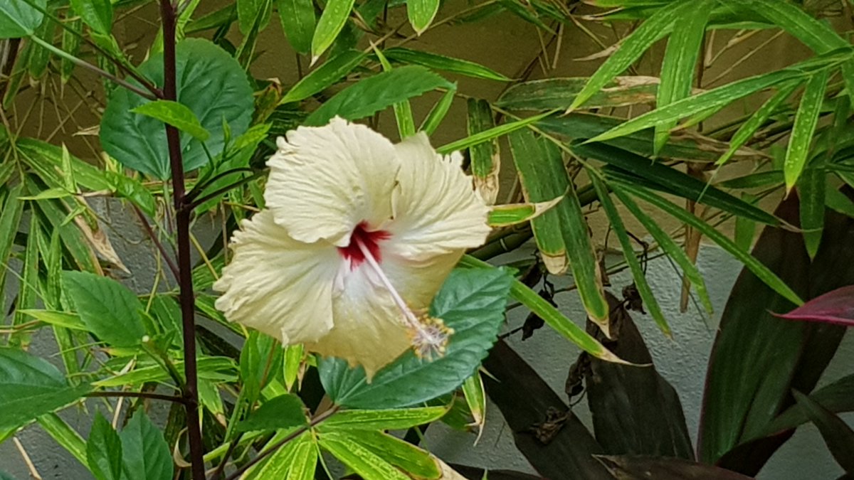 PureAlchemy0's tweet photo. @oblusangeli just returned after a great 10 days missing all the friendly staff and beautiful surroundings https://t.co/W64tVGb0Ko