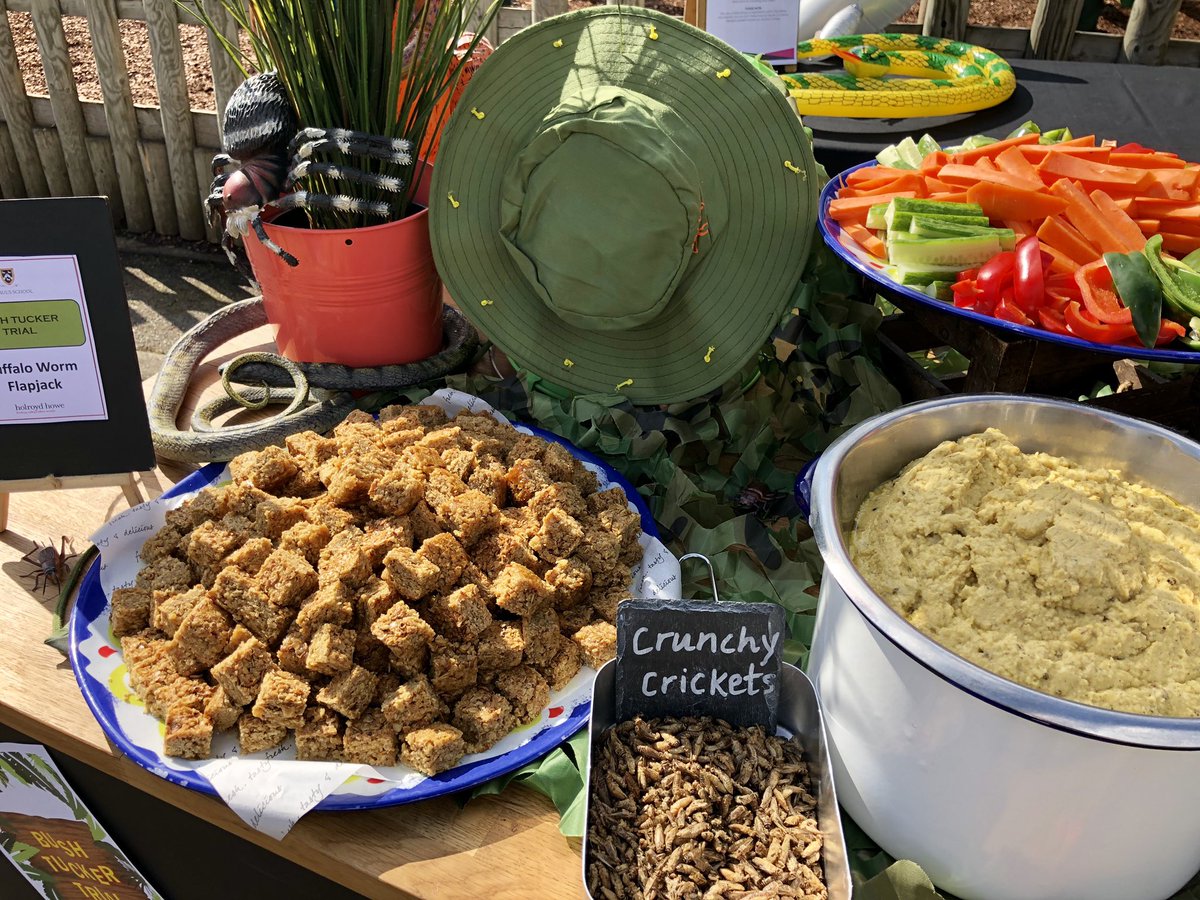 What an adventure with our Bush Tucker Trial at <a href="/StPaulsSchool/">St Paul's School</a> Junior School! Buffalo Worm Shots, Meal Worm Brownies, Cricket Houmous and Buffalo Worm Flapjacks #ChefDemonstration #BushTuckerTrial #DemoDay #Delicious #TrySomethingNew <a href="/HolroydHowe/">Holroyd Howe</a>