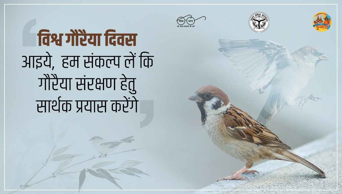 UPGovt's tweet photo. गौरैया की घटती संख्या को रोकने और इसके प्रति लोगों को जागरूक करने के उद्देश्य से विश्व गौरैया दिवस मनाया जाता है। इस प्रजाति के संरक्षण के लिए वर्ष 2010 में पहली बार गौरैया दिवस मनाया गया था। https://t.co/coBcw7rFMO