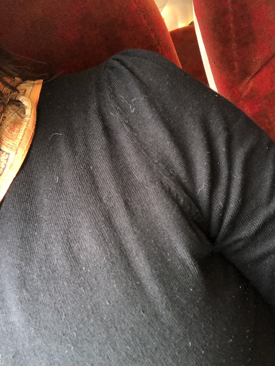 Angelasamata's tweet photo. I wish every train carriage came with a lint roller. White cats and black jumpers just DONT mix #divademands https://t.co/4UbA7b1o6H