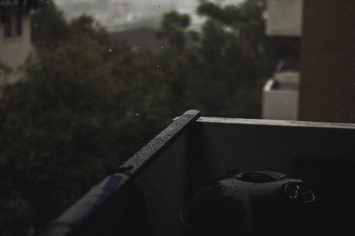 alfiecox_'s tweet photo. f a l l 🍂 https://t.co/u1dAl5fHqj