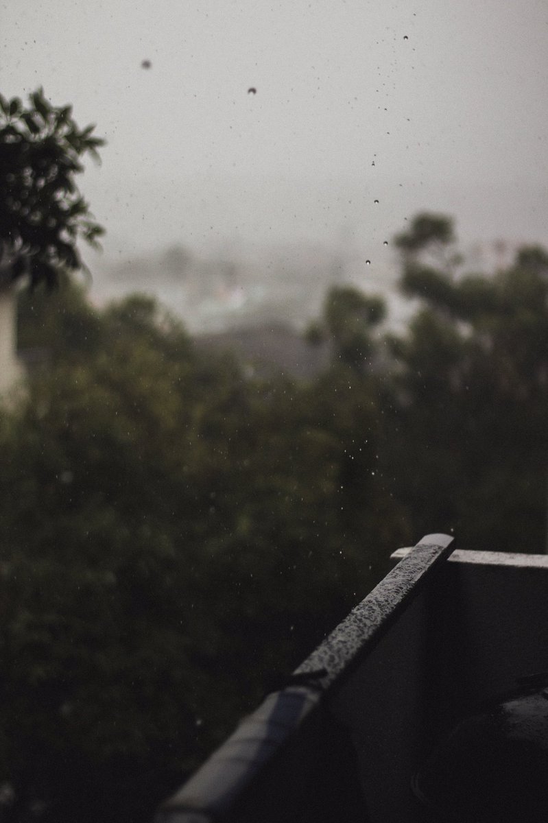 alfiecox_'s tweet photo. f a l l 🍂 https://t.co/u1dAl5fHqj