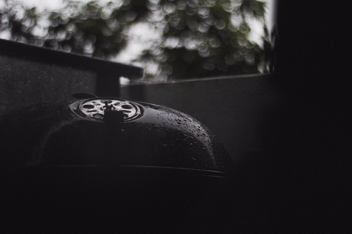 alfiecox_'s tweet photo. f a l l 🍂 https://t.co/u1dAl5fHqj