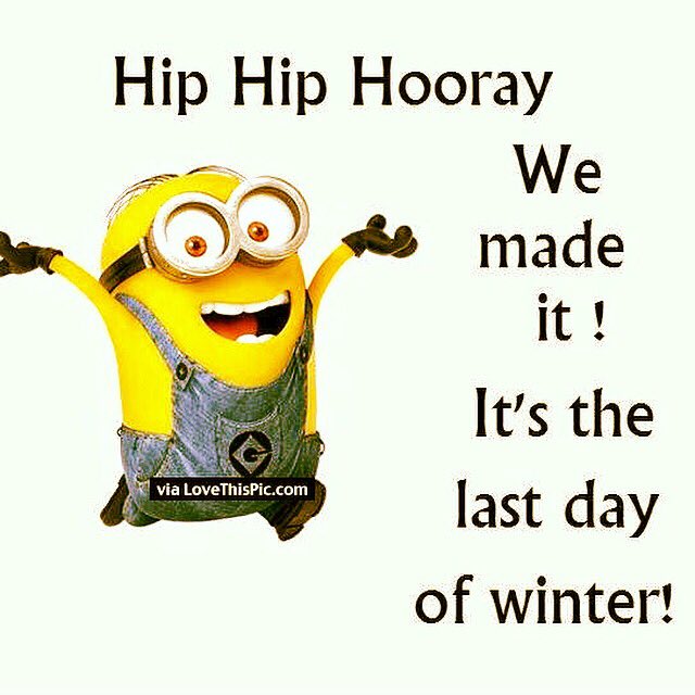 WENDY GRAY tweet media