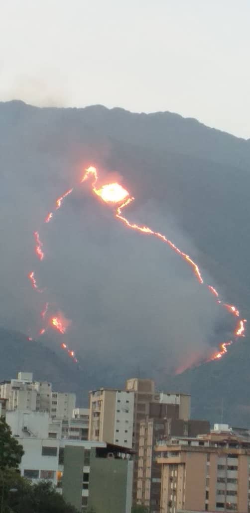 ReporteYa's tweet photo. #19Mar #Caracas Cerro El Ávila en llamas

Fotos @caterinav 

https://t.co/QdEnWo3B20 - @Daniel_RiosVE
