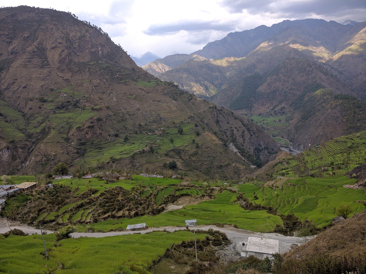 prakashh_khadka's tweet photo. The fields in Sunkuda, Bajhang are grace with winter crops.. The farmers are merrier this time as the yields suppose to be better than last time.. This year winter has received good amount of rain and snow.. #Greenfields, #SpringFieldWork, #RiskandResilience, #Learningtoshare https://t.co/MmwQcAw119
