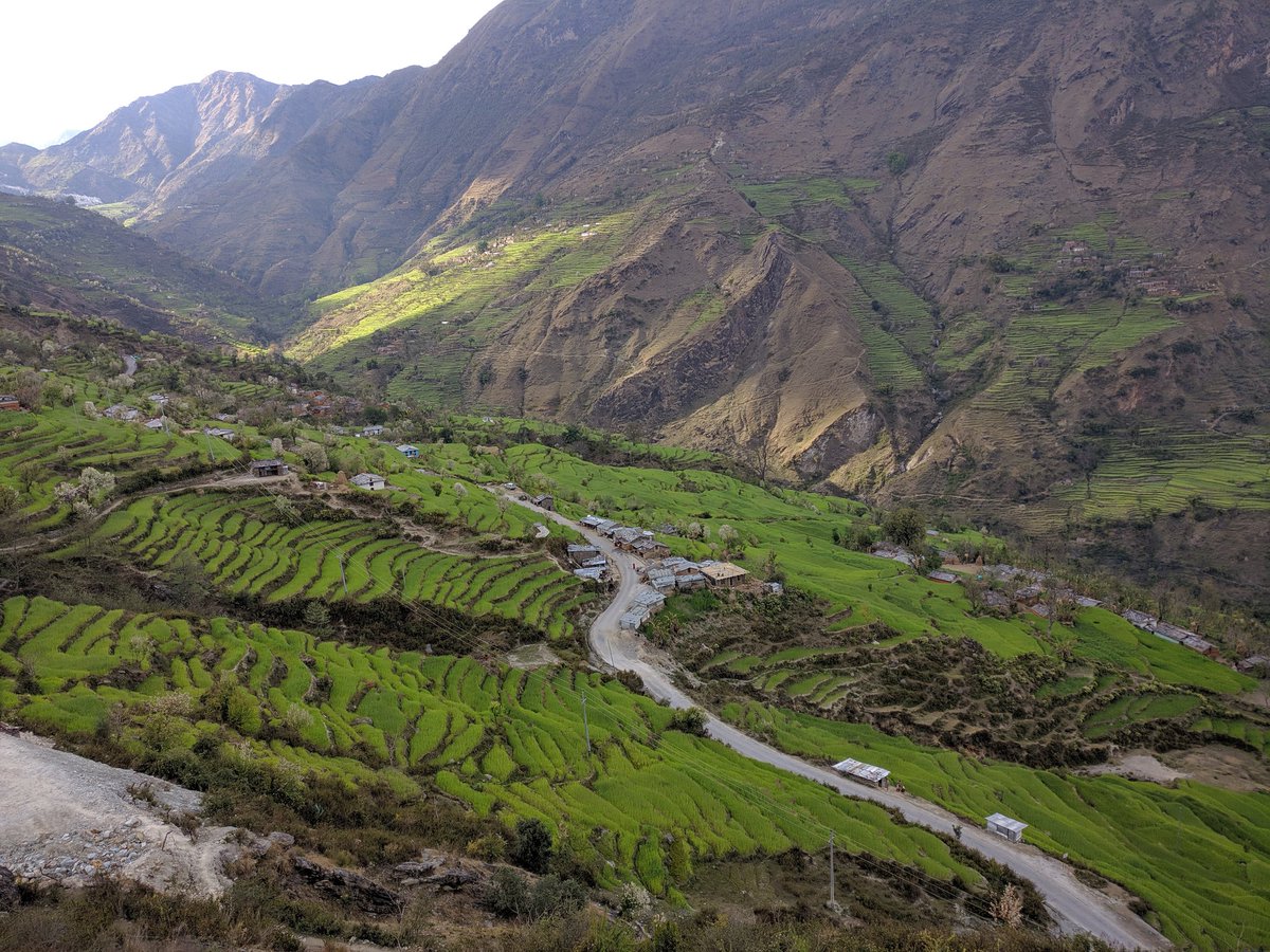 prakashh_khadka's tweet photo. The fields in Sunkuda, Bajhang are grace with winter crops.. The farmers are merrier this time as the yields suppose to be better than last time.. This year winter has received good amount of rain and snow.. #Greenfields, #SpringFieldWork, #RiskandResilience, #Learningtoshare https://t.co/MmwQcAw119
