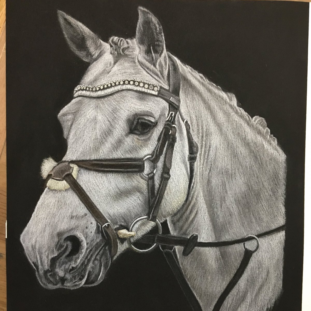 milburn_loraine's tweet photo. Voila! Finished 😉 #equineartist #horsesofinstagram #dressage #showjumping #eventing #pencildrawing #cansonmitientes #fabercastell #blackpaper https://t.co/KYrgjG8jp2