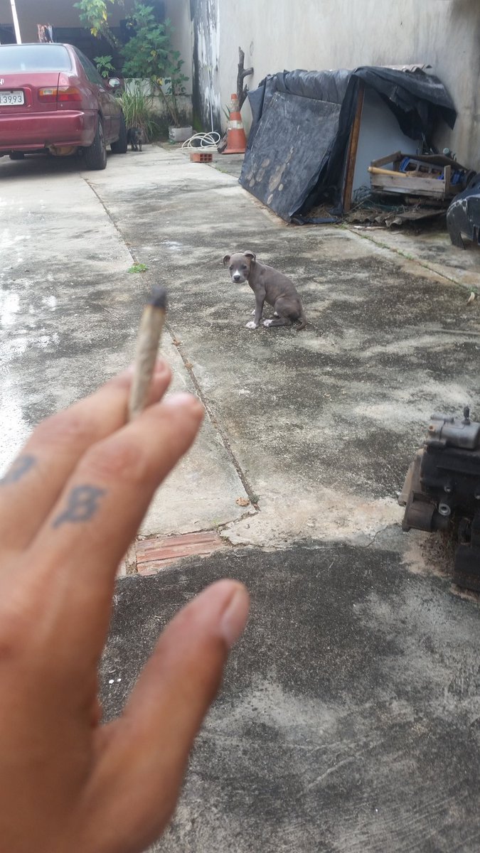 E ae cuzao vai passa a bola nn??  😂😂😂