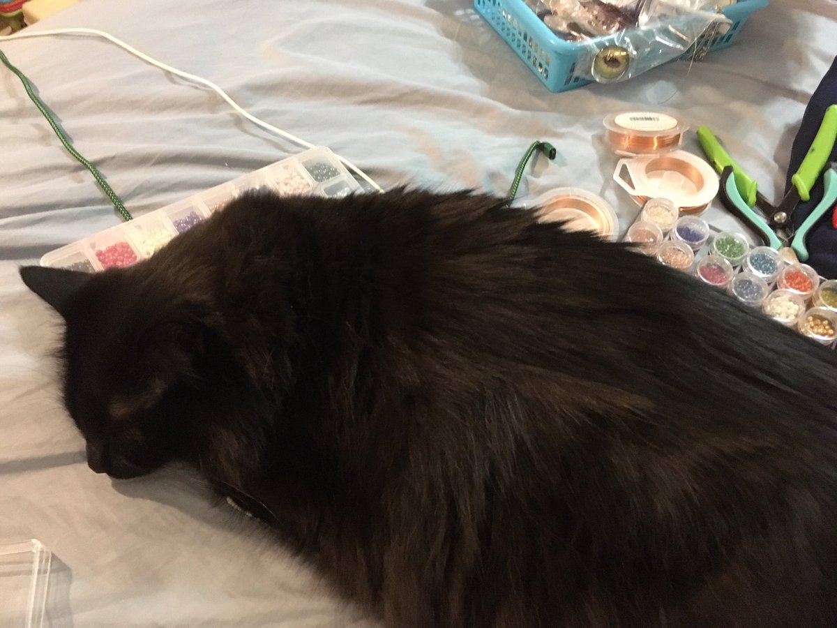 DragonWired's tweet photo. Hard to make jewelry when your kitty sleeps on your supplies. #TheWiredDragon #catmom https://t.co/sndjgpxoyN