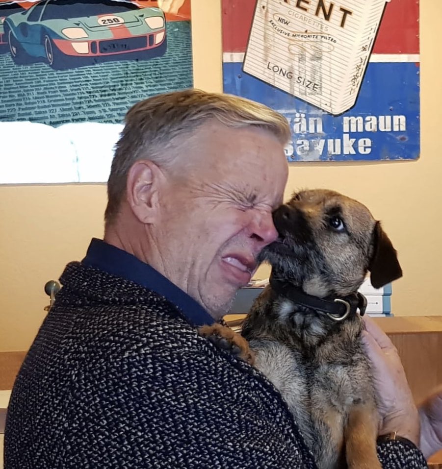 HussoJarmo's tweet photo. Mainostoimiston Irma toteaa kaiken olevan valmista. Meidän puolesta voi alkaa äänestämään vaikka heti. #brandstein #Vaalit2019 #kokoomus #tahtoopystyyuskaltaa #borderterrieri #smack #lurts https://t.co/M4GlheeXUh