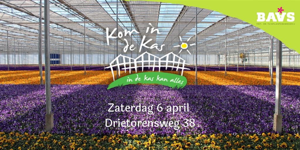 Zaterdag 6 april <a href="/komindekas/">berry</a>. Kom je ook een kijkje nemen in onze kas (Drietorensweg 38, Ens) en bij onze houtkachel? 
#bloomingjoy #komindekas #lente