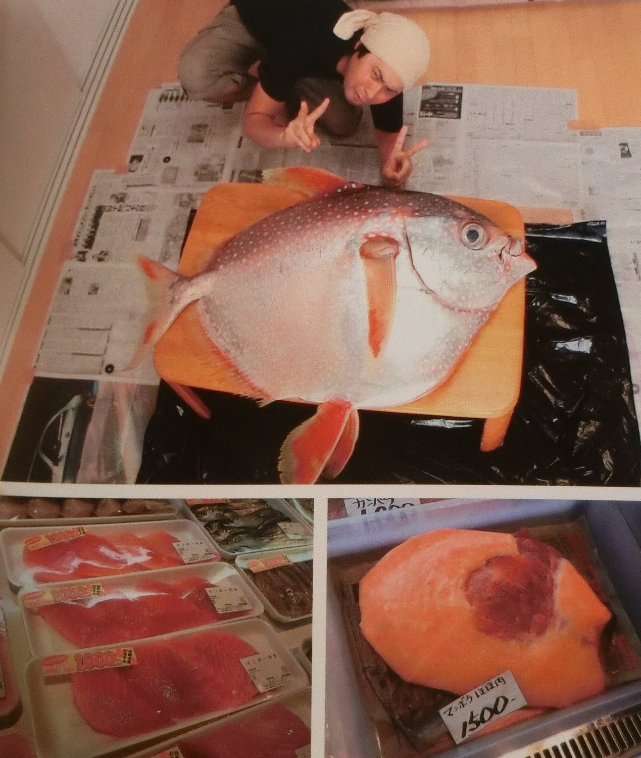 深海魚のレシピ Twitter Search Twitter