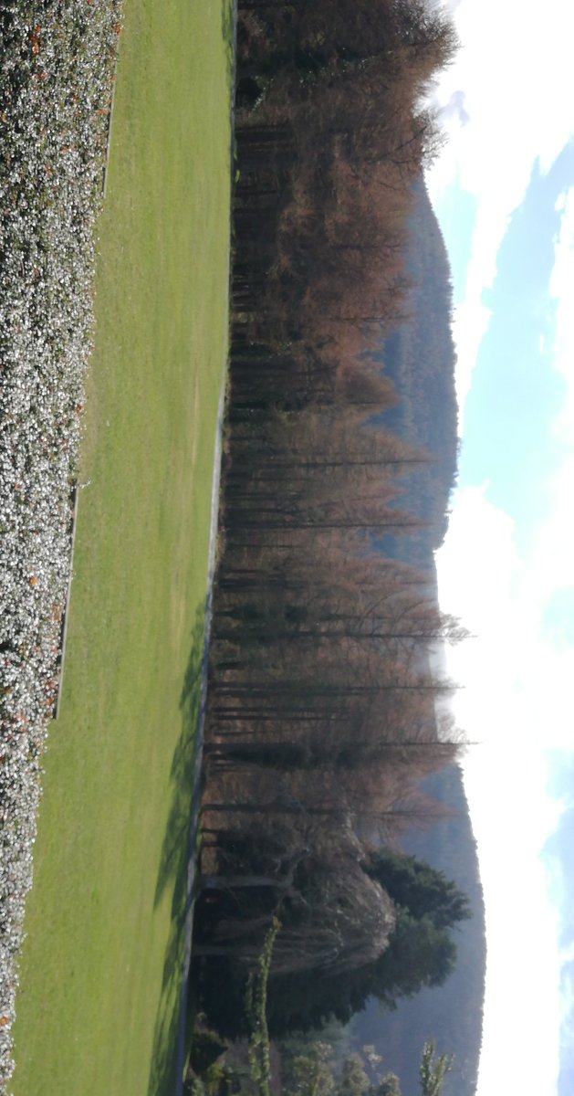 Theseekers🌎🌍🌏 tweet media