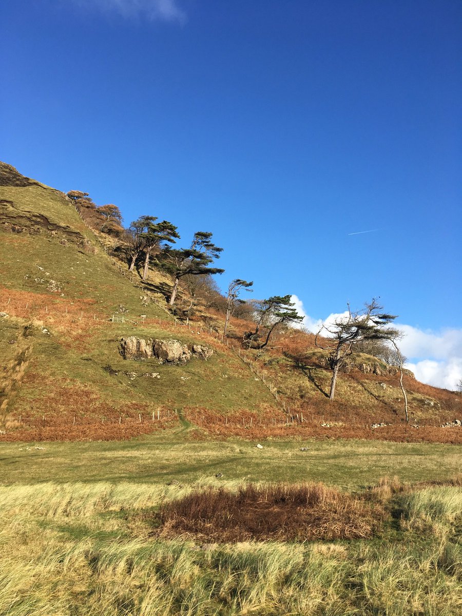 <a href="/JemGardens/">JAMES MASON🇺🇦🇵🇸</a> <a href="/StormHour/">#StormHour</a> <a href="/ThePhotoHour/">#ThePhotoHour</a> <a href="/VisitScotland/">VisitScotland</a> <a href="/CalgaryBayMull/">FriendsofCalgaryBay</a> Beautiful spot! <a href="/CalgaryBayMull/">FriendsofCalgaryBay</a>