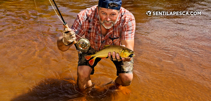 Sentilapesca's tweet photo. INFORMES | Esquina fly fishing a la carta – Tercera parte, Bonus Track > https://t.co/Xn4Vq9dbsu
#pescadeportiva #fly #flyfishing #conmosca #condevolucion #esquina #pescar #dorados https://t.co/nqsjfHvL62