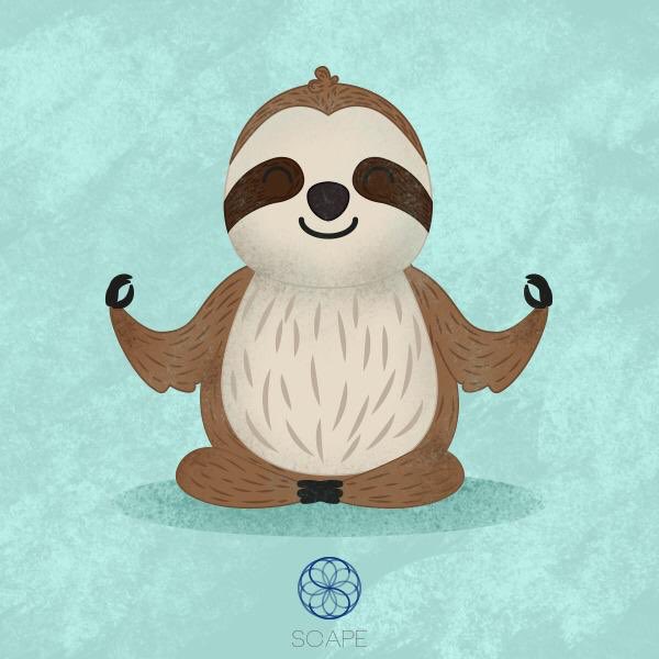 Slow Down. Breathe and be Happy. #yogasloth #slothyoga #sloth #yoga #osoperezoso