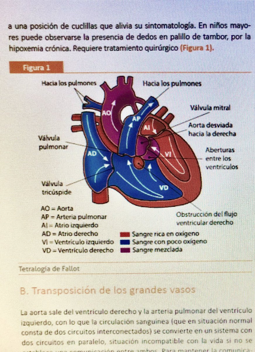 Pilar_CTO's tweet photo. Imagenes de nuestro Manual #OPEMadrid con infografías, esquemas, “recuerdas”, tablas.. Consulta nueva oferta especial‼️ Puedes adquirirlo en ➡️ https://t.co/qhMNZARSkE @CTOEnfermeriaES https://t.co/ENTRP9aujA